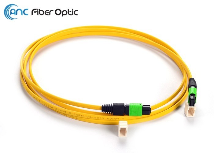 Ribbon Fiber Optic Cable Types SM OM3 12 Fiber MPO Female To MPO Female