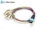 OM3 MPO Fiber Optic Cable 0.9mm Harness Cable Assembly For MPO Cassette
