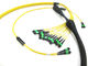SM OM3 OM4 MPO Fiber Optic Cable Assemblies Customized For 40G 100G Cabling
