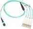 MPO Female To 4 X LC Duplex Fiber Optic Breakout Cable 50/125 OM4 3.0mm LSZH Jacket